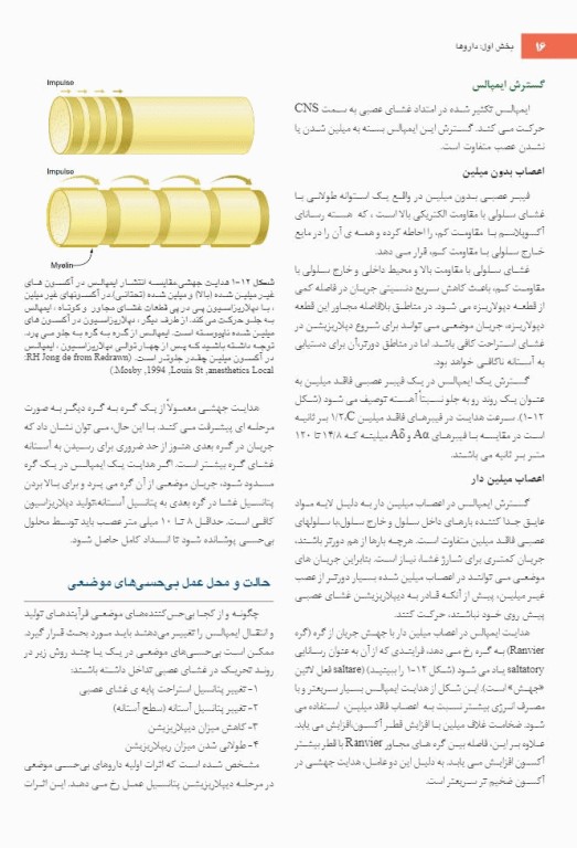 بی حسی موضعی مالامد 2020