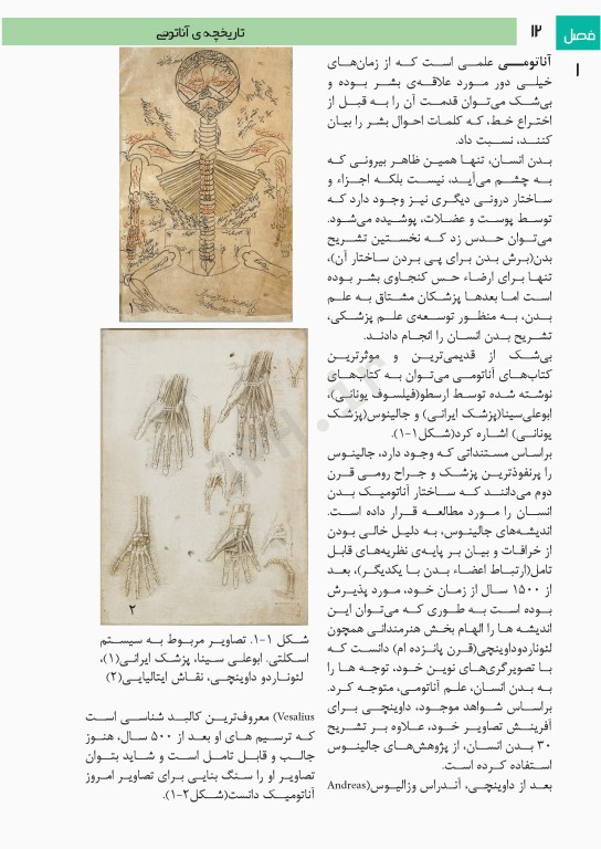 فتوآناتومی اندام فوقانی و تحتانی