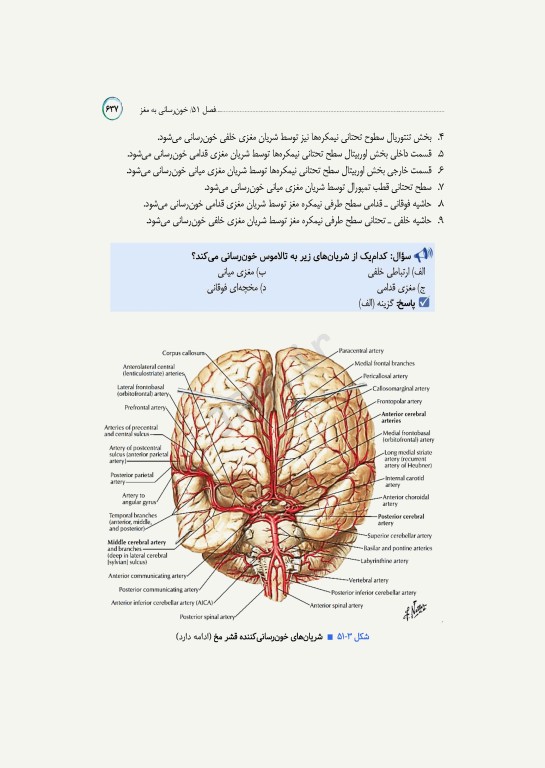 مرور جامع DRS علوم پایه پزشکی آناتومی
