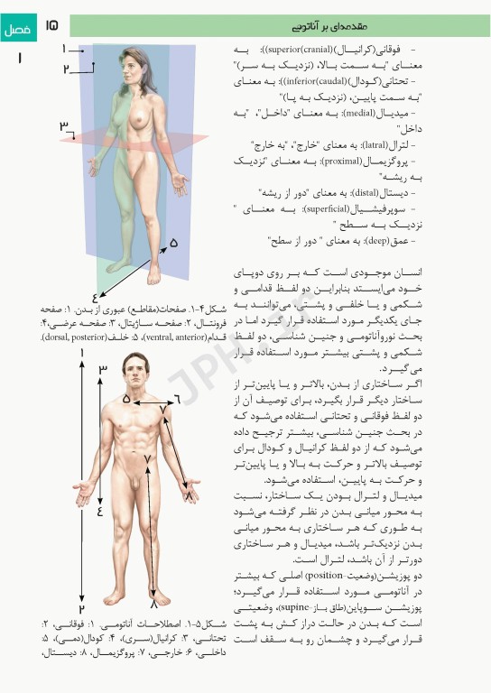 فتوآناتومی اندام فوقانی و تحتانی