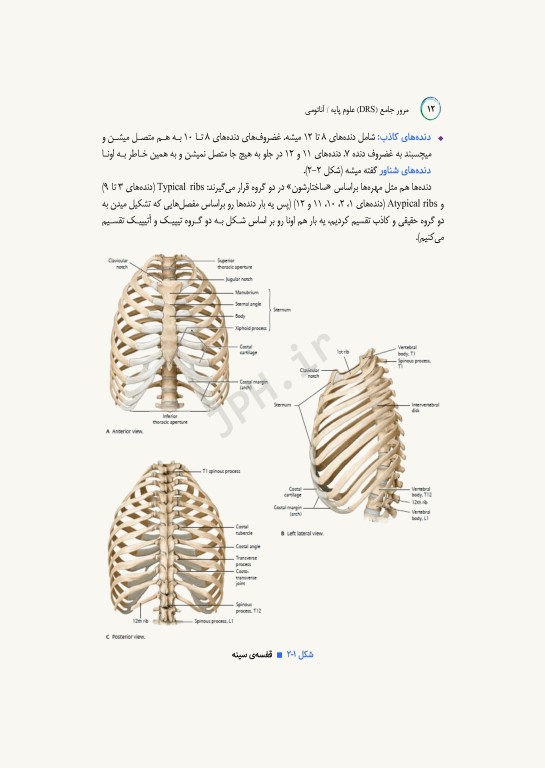 مرور جامع DRS علوم پایه پزشکی آناتومی