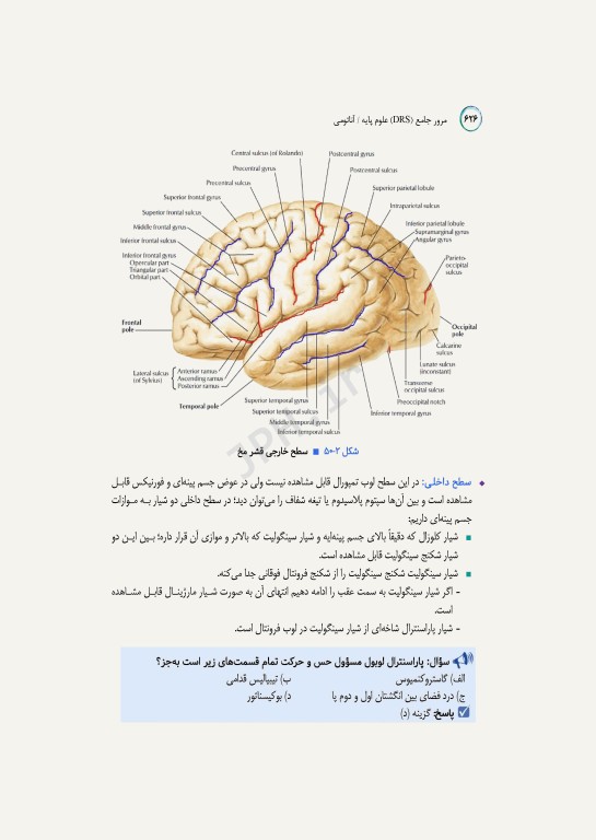 مرور جامع DRS علوم پایه پزشکی آناتومی