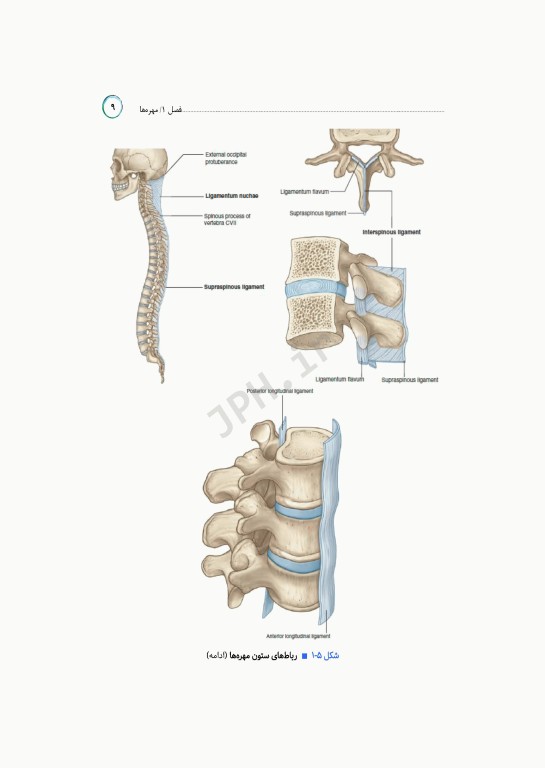 مرور جامع DRS علوم پایه پزشکی آناتومی