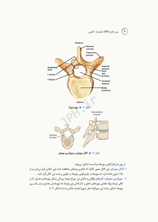 مرور جامع DRS علوم پایه پزشکی آناتومی