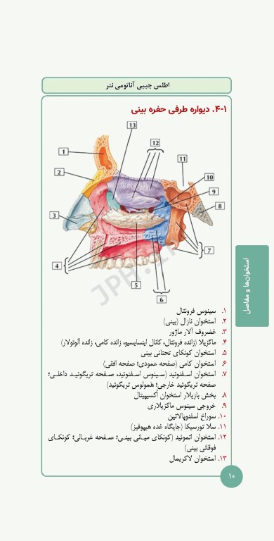 کتابچه اطلس آناتومی نتر 2023 ترجمه دکتر احسان گلچینی