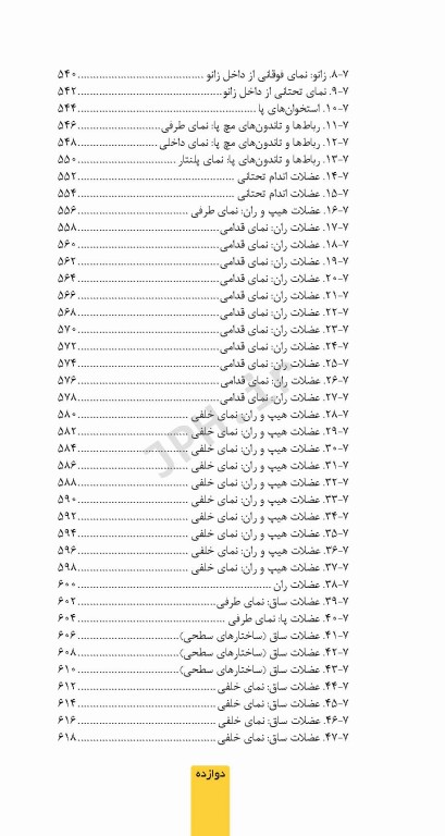کتابچه اطلس آناتومی نتر 2023 ترجمه دکتر احسان گلچینی