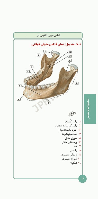 کتابچه اطلس آناتومی نتر 2023 ترجمه دکتر احسان گلچینی