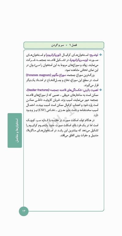 کتابچه اطلس آناتومی نتر 2023 ترجمه دکتر احسان گلچینی