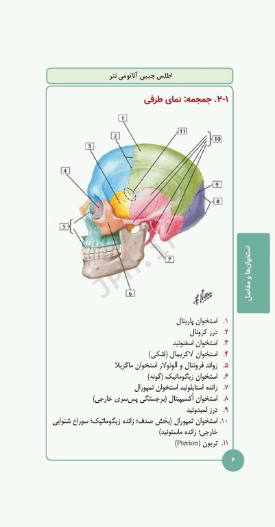 کتابچه اطلس آناتومی نتر 2023 ترجمه دکتر احسان گلچینی