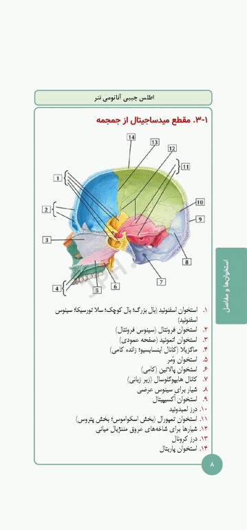 کتابچه اطلس آناتومی نتر 2023 ترجمه دکتر احسان گلچینی