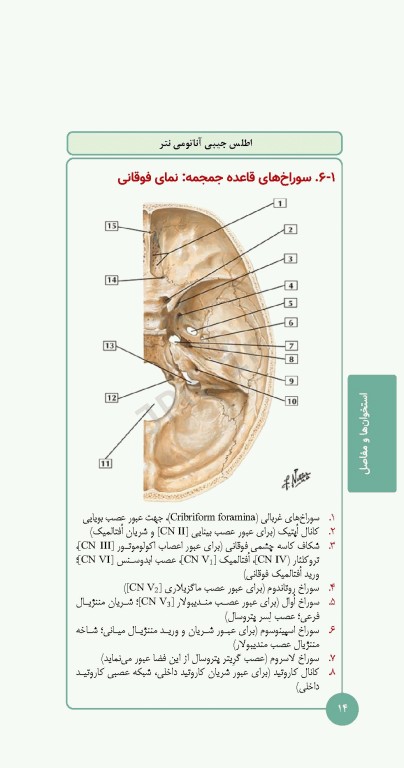 کتابچه اطلس آناتومی نتر 2023 ترجمه دکتر احسان گلچینی