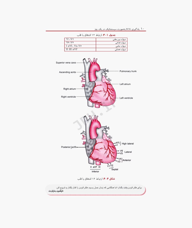 یادگیری ECG بصورت سیستماتیک در یک روز