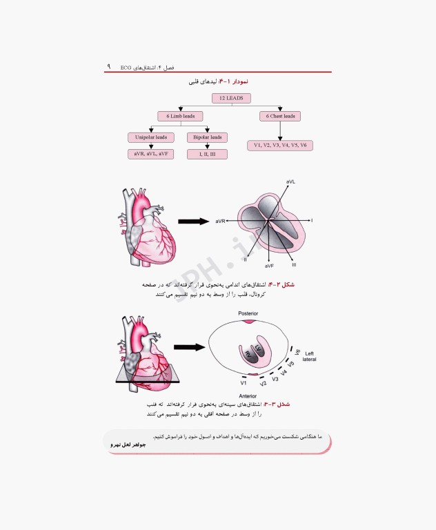 یادگیری ECG بصورت سیستماتیک در یک روز