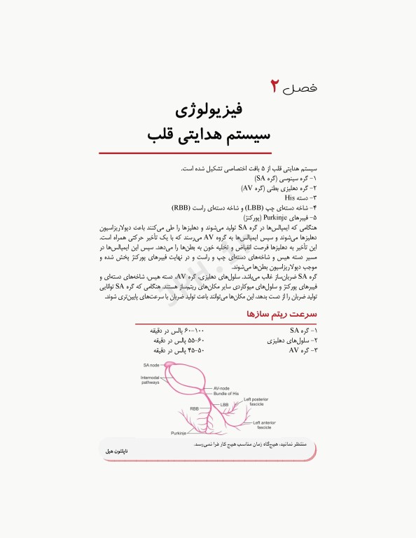 یادگیری ECG بصورت سیستماتیک در یک روز