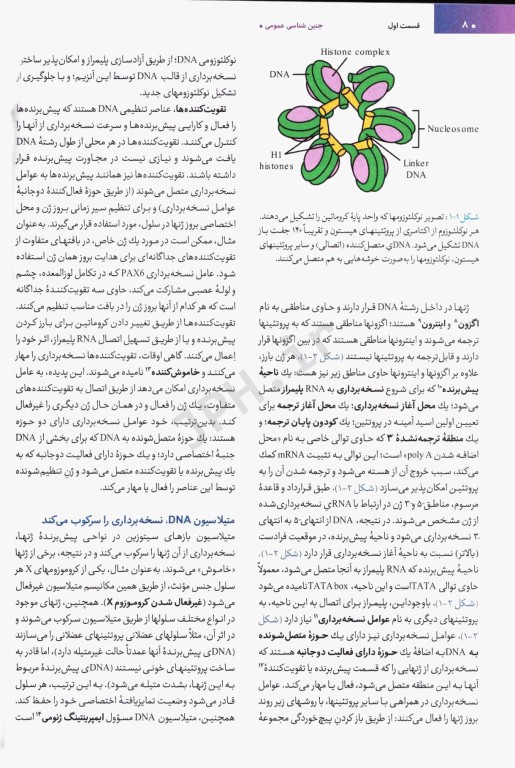 جنین‌شناسی پزشکی لانگمن 2024 دکتر قاضی جهانی