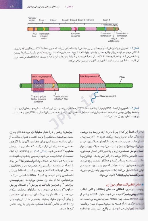 جنین‌شناسی پزشکی لانگمن 2024 دکتر قاضی جهانی