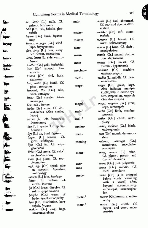 فرهنگ پزشکی دورلند انگلیسی به فارسی دکتر حمید نام‌آور سایز جیبی