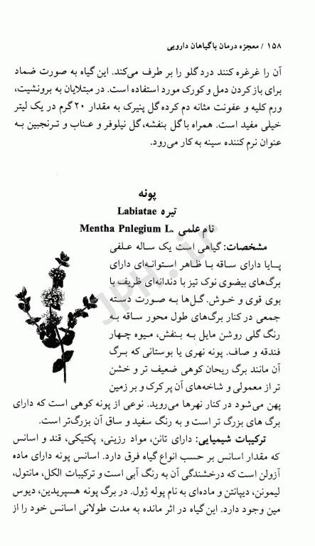 فرهنگ گیاهان دارویی معجزه درمان با گیاهان دارویی دکتر سعدی‌پور