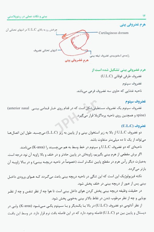 بینی و نکات عملی در رینوپلاستی
