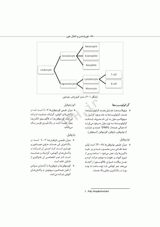 خون‌شناسی و انتقال خون برای اتاق عمل