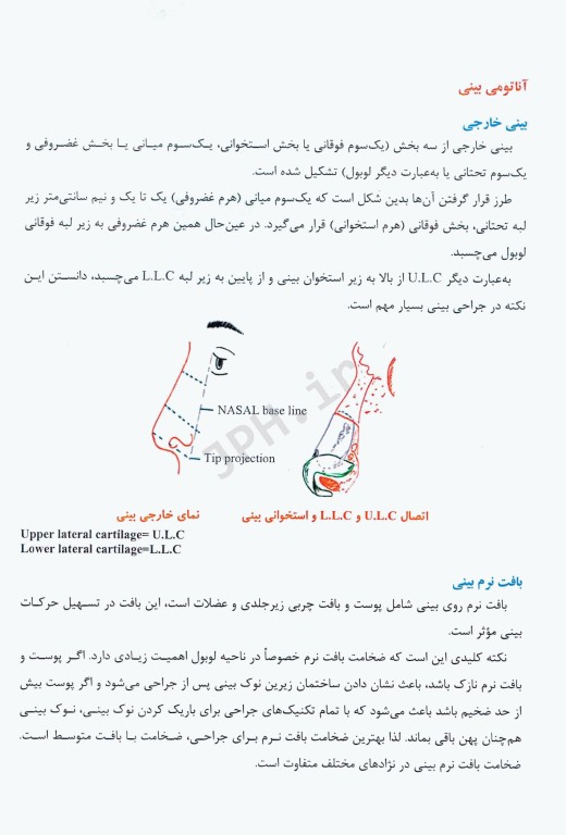 بینی و نکات عملی در رینوپلاستی