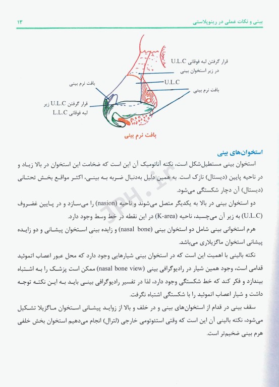 بینی و نکات عملی در رینوپلاستی