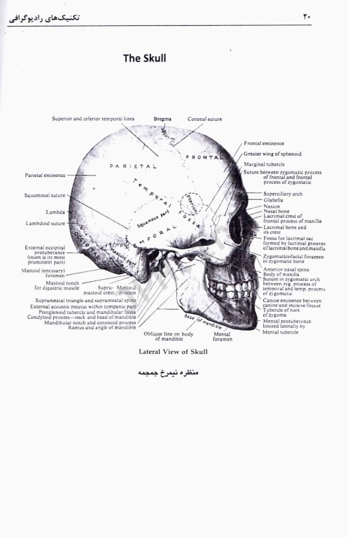تکنیک‌های رادیوگرافی پرتونگاری کامل از اندام‌های بدن
