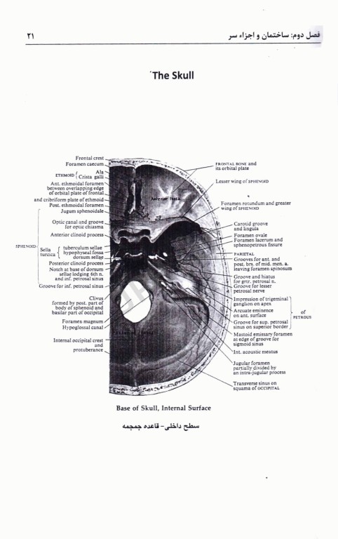 تکنیک‌های رادیوگرافی پرتونگاری کامل از اندام‌های بدن