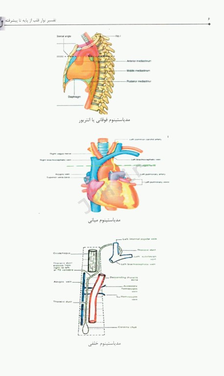 تفسیر نوار قلب ECG از پایه تا پیشرفته