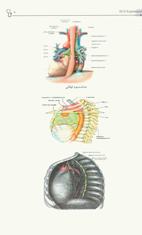 تفسیر نوار قلب ECG از پایه تا پیشرفته