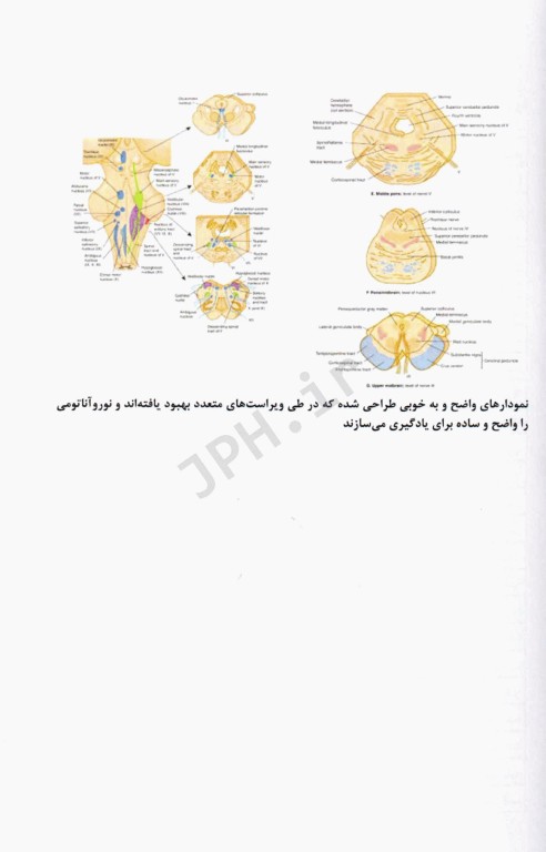 نوروآناتومى بالینى استفن جی واکسمن آناطب