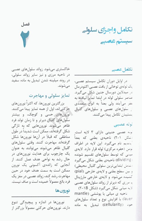 نوروآناتومى بالینى استفن جی واکسمن آناطب