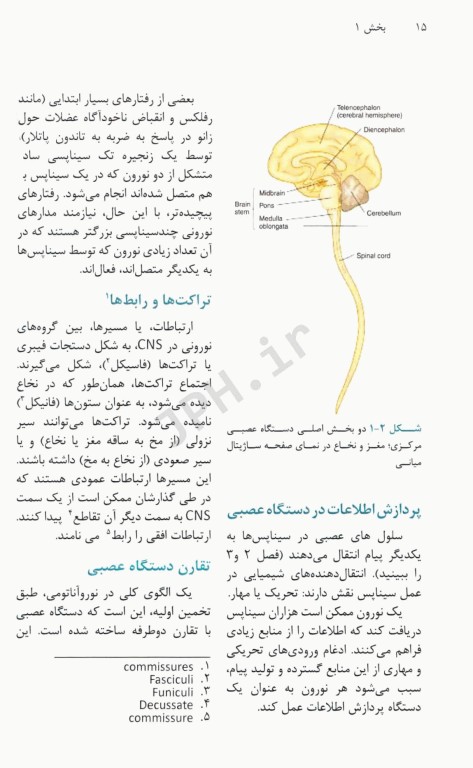 نوروآناتومى بالینى استفن جی واکسمن آناطب