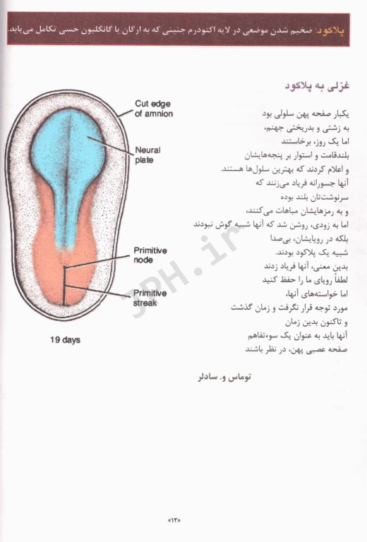 جنین شناسی لانگمن 2024 ترجمه دکتر غلامرضا حسن‌زاده