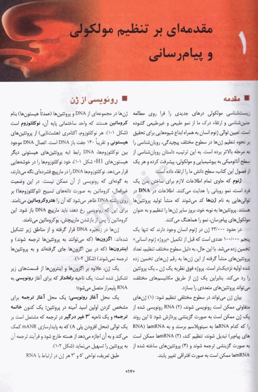 جنین شناسی لانگمن 2024 ترجمه دکتر غلامرضا حسن‌زاده