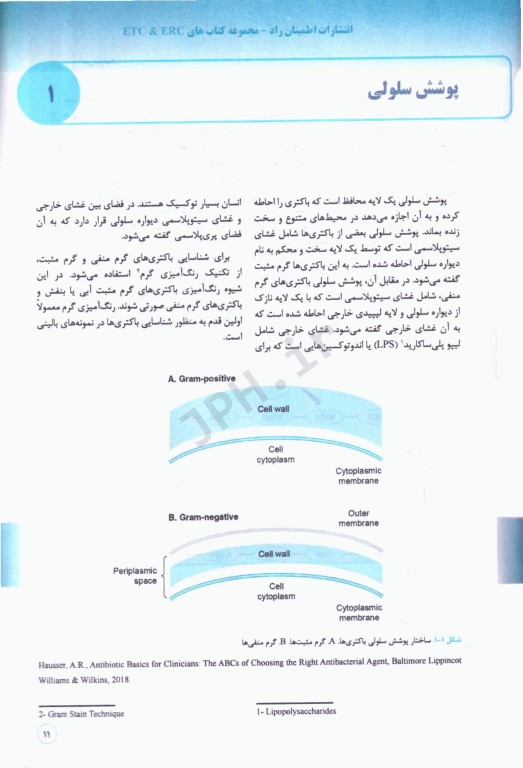 آنتی بیوتیک‌ها از میکروبیولوژی تا کاربرد در بالین