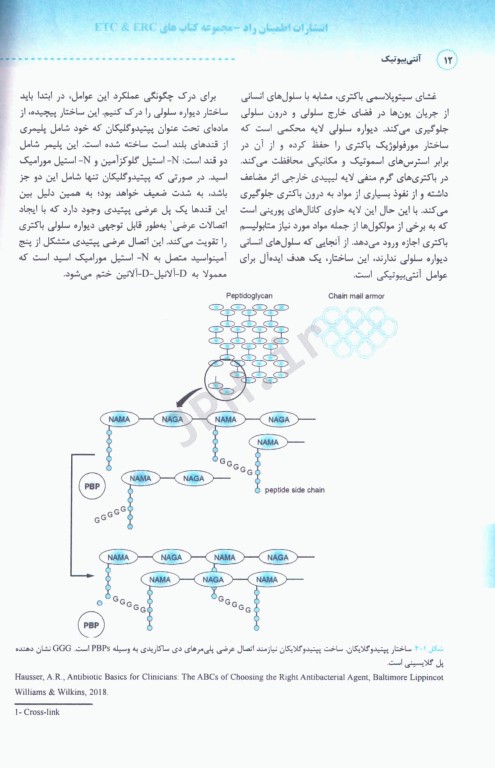 آنتی بیوتیک‌ها از میکروبیولوژی تا کاربرد در بالین