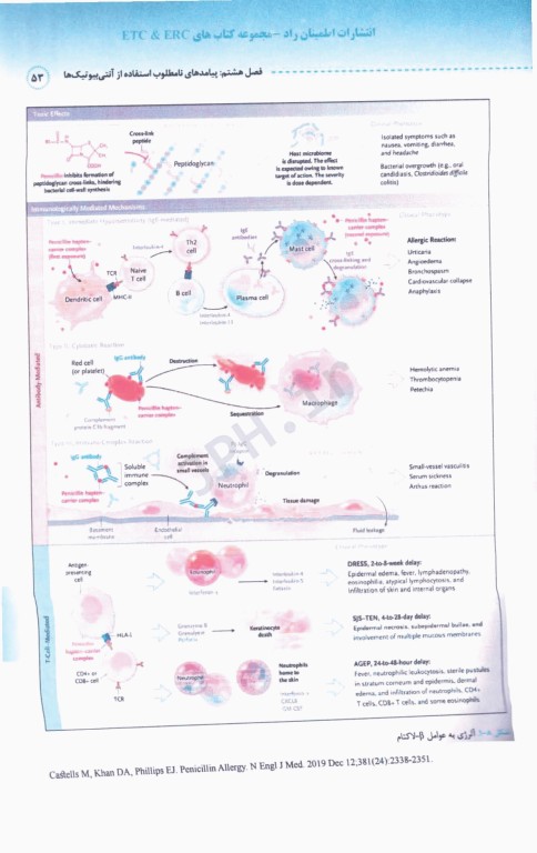 آنتی بیوتیک‌ها از میکروبیولوژی تا کاربرد در بالین