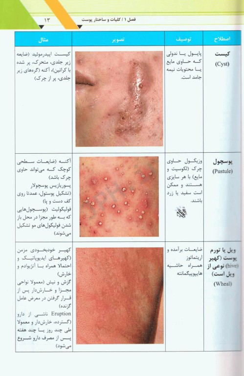 راهنمای کاربردی تشخیص و درمان بیماری‌های پوست و مو همراه با نسخه نویسی جامع