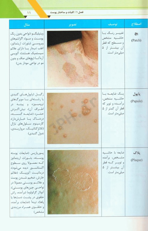 راهنمای کاربردی تشخیص و درمان بیماری‌های پوست و مو همراه با نسخه نویسی جامع