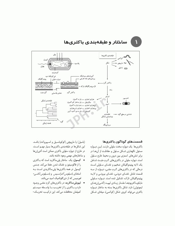 میکروب‌شناسی پزشکی در یک نگاه