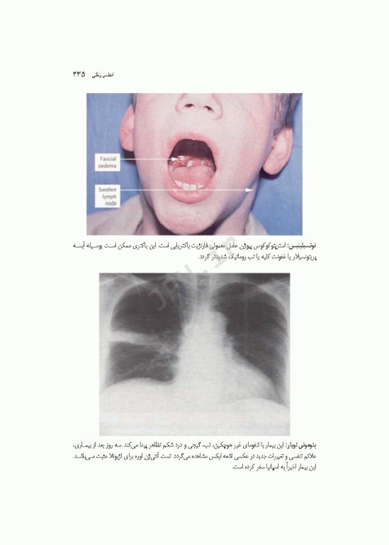 میکروب‌شناسی پزشکی در یک نگاه