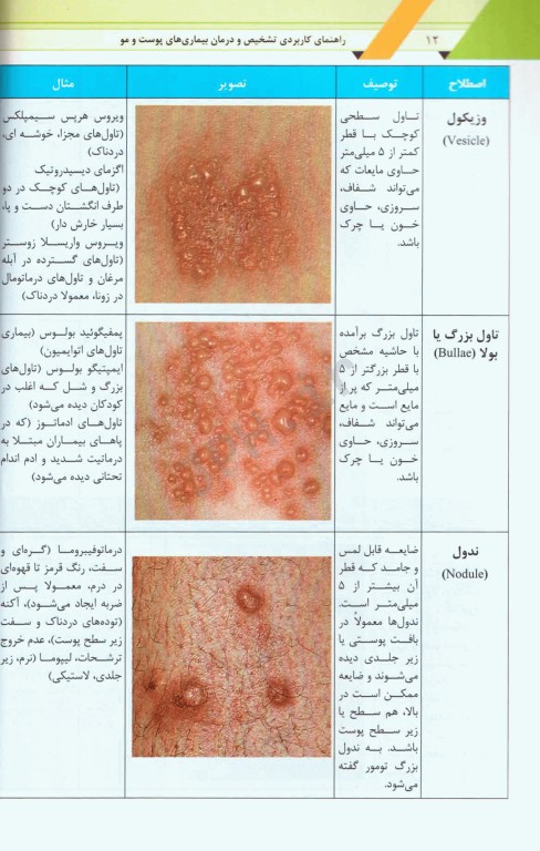 راهنمای کاربردی تشخیص و درمان بیماری‌های پوست و مو همراه با نسخه نویسی جامع
