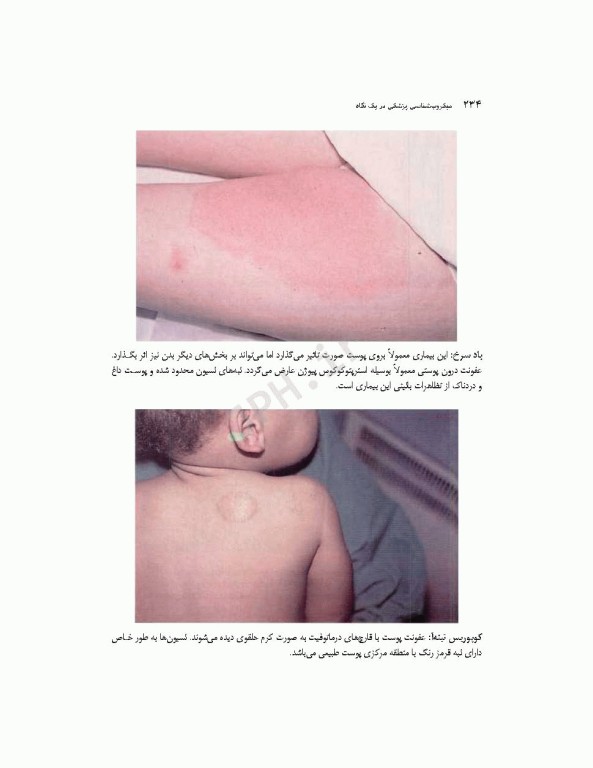 میکروب‌شناسی پزشکی در یک نگاه