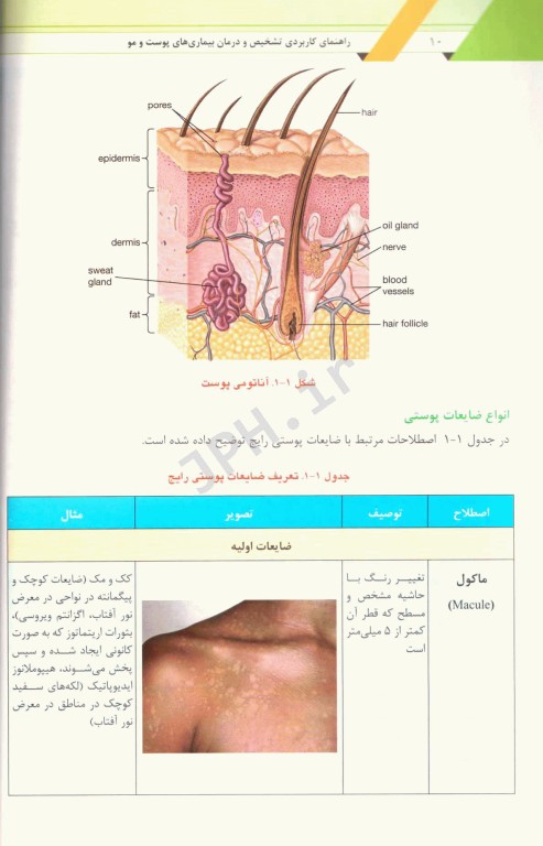 راهنمای کاربردی تشخیص و درمان بیماری‌های پوست و مو همراه با نسخه نویسی جامع