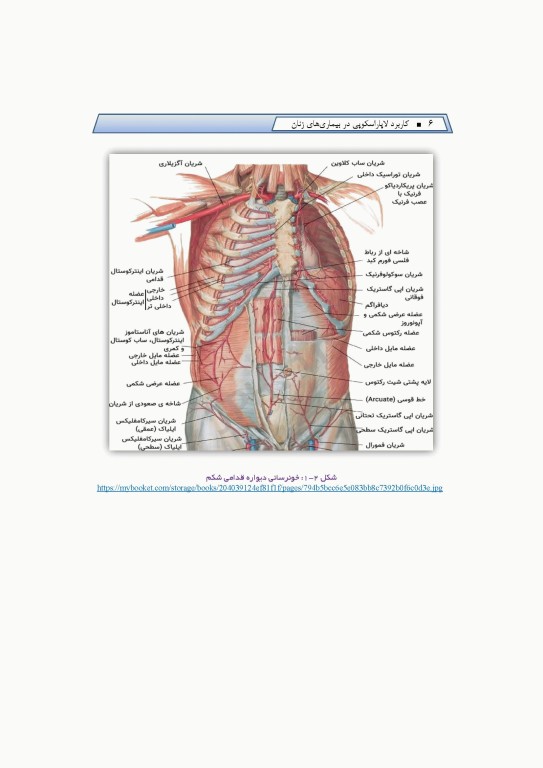 کاربرد لاپاراسکوپی در بیماری‌های زنان