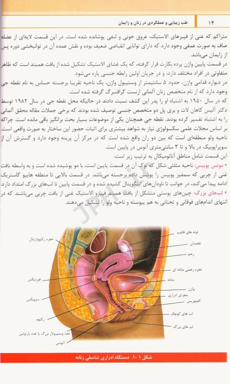 طب زیبایی و عملکردی در زنان و زایمان درمان‌های ترکیبی برای جوانسازی ولوواژینال