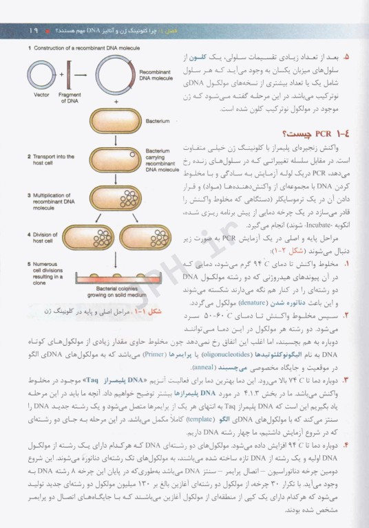مقدمه‌ای بر کلونینگ ژن و آنالیز DNA براون 2021