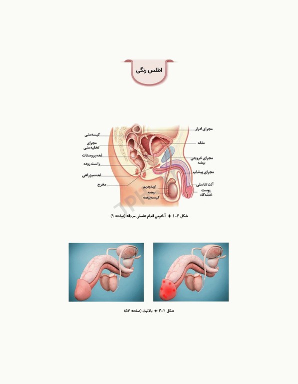 شناخت، تشخیص و مدیریت سلامت باروری و جنسی در مردان