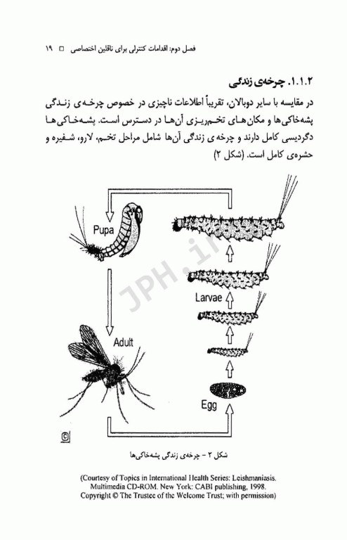 کنترل ناقلین بیماری‌ها پس از وقوع بلایای طبیعی